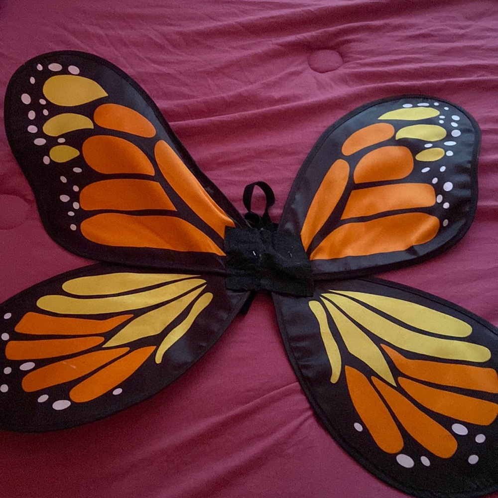 Butterfly wings